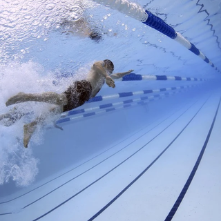 nuoto pinnato nuoto pinnato