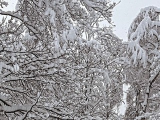 Oropa imbiancata nelle foto di un lettore foto Ezio Cairoli