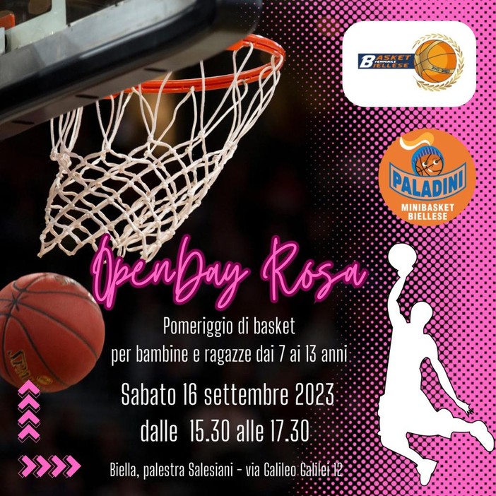 basket bfb basket bfb