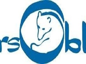 Orso Blu, tuonano i sindacati: “Hermes Fulfilment non sarà al tavolo regionale, ne prendiamo atto con stupore” Orso Blu, tuonano i sindacati: “Hermes Fulfilment non sarà al tavolo regionale, ne prendiamo atto con stupore”