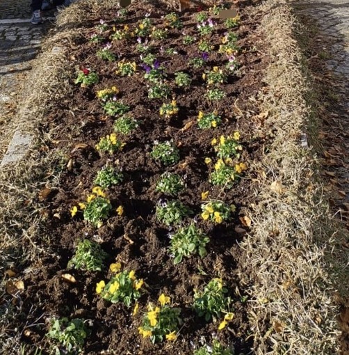 valle cervo valle cervo