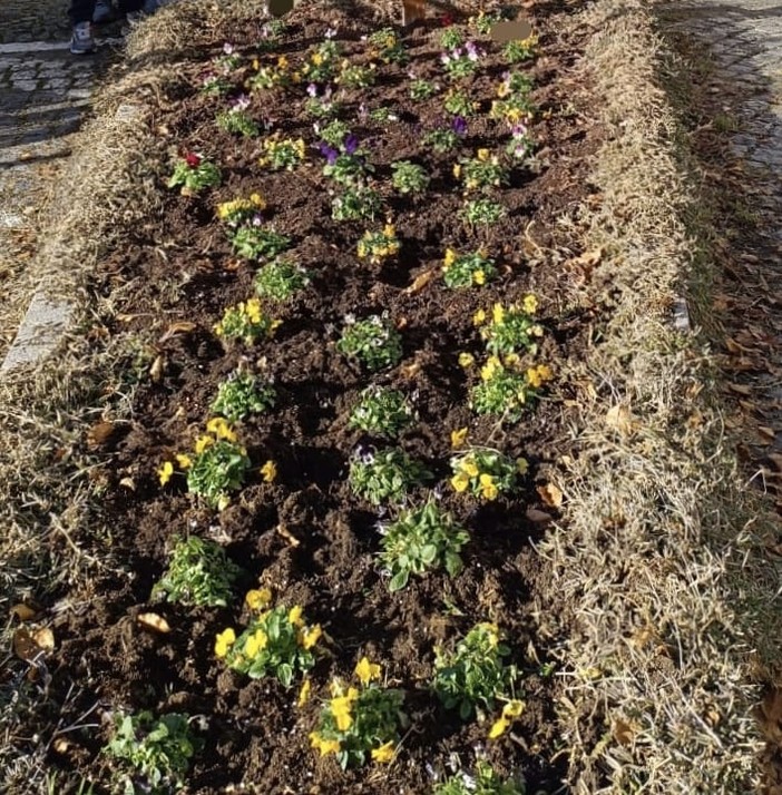 valle cervo valle cervo