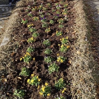 valle cervo valle cervo