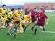 Rugby - Gli Orsi under 18 vincono in casa contro il MAC