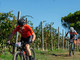 A Lessona grande attesa per la Prevostura, la decana della MTB A Lessona grande attesa per la Prevostura, la decana della MTB