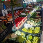 25 Aprile a Biella, il mercato di Piazza Falcone conferma la sua tradizione FOTO