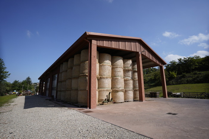 guerrini azienda guerrini azienda