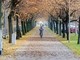 Mobilità sostenibile, Biella aderisce al bando ministeriale "Bici in Comune", foto pixabay Mobilità sostenibile, Biella aderisce al bando ministeriale "Bici in Comune", foto pixabay