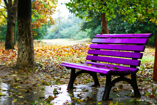 A Candelo l’inaugurazione della panchina viola per la Giornata mondiale Alzheimer