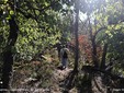 Lago delle Piane, dove prima c’era l’acqua ora cresce l’erba FOTO Claudio Nicola Lago delle Piane, dove prima c’era l’acqua ora cresce l’erba FOTO Claudio Nicola