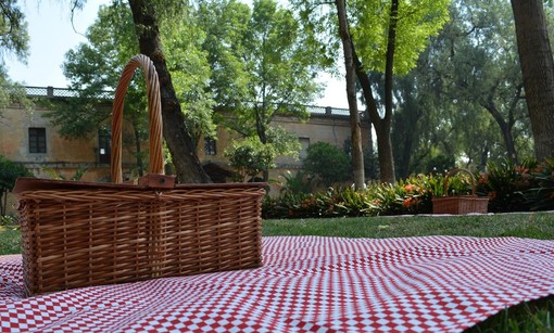 Pasquetta: cosa fare con qualsiasi meteo, idee per picnic e pranzo perfetto