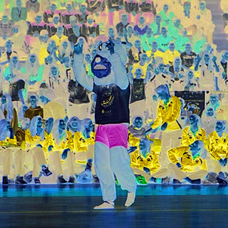 Bear Wool Volley U17 femminile - In 5 al comando: c'è anche l'Angelico Bear Wool Volley U17 femminile - In 5 al comando: c'è anche l'Angelico