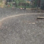 Ancora maltempo e piogge, è allerta gialla nel sud del Piemonte (foto di repertorio)