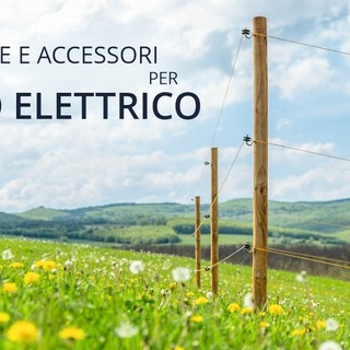 Il pastore elettrico al servizio del paesaggio – pascolo sostenibile e biodiversità mano nella mano