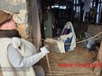 Rivò, il presepe da vivere: un viaggio nel Natale di una volta FOTO e VIDEO Catia Ciccarelli e Mauro Bedenetti per newsbiella.it