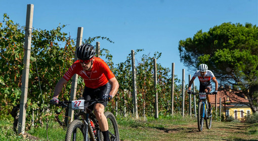 A Lessona grande attesa per la Prevostura, la decana della MTB A Lessona grande attesa per la Prevostura, la decana della MTB