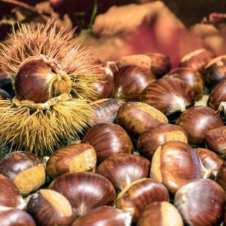 Profumi e sapori d’autunno a Valdilana con la Castagnata Benefica della Pro Loco di Trivero (foto di repertorio) Profumi e sapori d’autunno a Valdilana con la Castagnata Benefica della Pro Loco di Trivero (foto di repertorio)