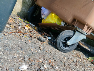 Ponderano, un lettore: "I passaggi per ritirare la plastica non sono più sufficienti" Ponderano, un lettore: "I passaggi per ritirare la plastica non sono più sufficienti"