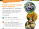 A Pollone una passeggiata inclusiva: domenica 17 al Parco Burcina. A Pollone una passeggiata inclusiva: domenica 17 al Parco Burcina.