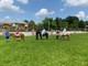 “Party Sport”, la nuova edizione sarà a Sandigliano