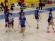 teamvolley gara