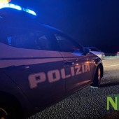 incidente viverone incidente viverone