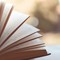 Graglia, si ritorna in biblioteca con letture a sorpresa e tante novità (foto di repertorio)