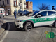 anziani auto anziani auto