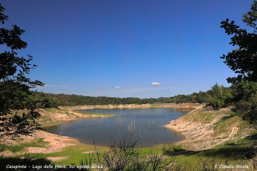 Casapinta, Lago delle Piane, dove prima c’era l’acqua ora cresce l’erba FOTO Claudio Nicola Casapinta, Lago delle Piane, dove prima c’era l’acqua ora cresce l’erba FOTO Claudio Nicola