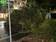 Tromba d’aria a Buronzo, piante a terra nella notte a Biella e Valdilana Tromba d’aria a Buronzo, piante a terra nella notte a Biella e Valdilana
