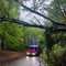 Maltempo, nottata di interventi per piante a terra nel Biellese (foto di repertorio)