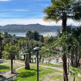 Viverone, nuovo volto per il parco di Villa Lucca: sempre più un luogo di incontro tra natura, cultura e territorio (foto dalla pagina Facebook di Viverone Insieme)