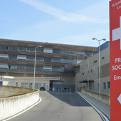 vigliano investito vigliano investito