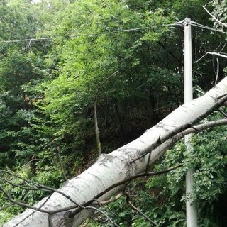 Maltempo, a Strona alberi sulla linea: alcune frazioni senza corrente per alcune ore (foto di repertorio)