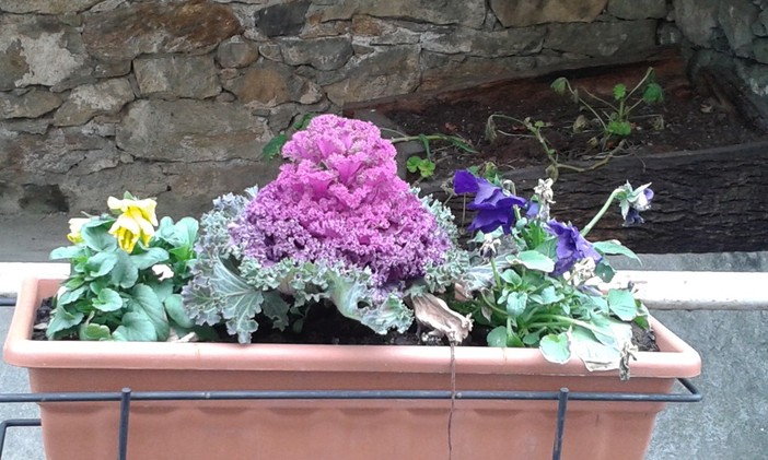 Foto Antonio Montoro