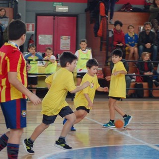 pallamano torneo