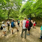 Natura, cultura e tradizioni delle valli biellese: tornano a Biella le passeggiate ambientali