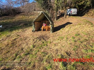 Rivò, il presepe da vivere: un viaggio nel Natale di una volta FOTO e VIDEO Catia Ciccarelli e Mauro Bedenetti per newsbiella.it