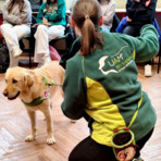Biella, studenti del Bona a lezione di Pet Therapy con una “prof” davvero speciale Biella, studenti del Bona a lezione di Pet Therapy con una “prof” davvero speciale