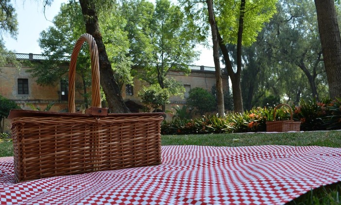 Pasquetta: cosa fare con qualsiasi meteo, idee per picnic e pranzo perfetto
