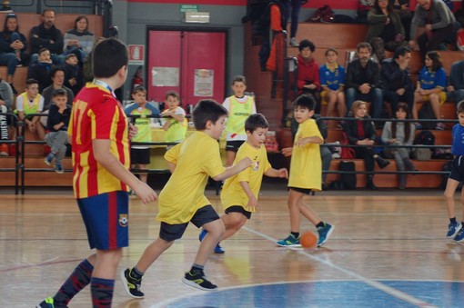 pallamano torneo
