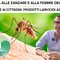 Candelo, Pizzi sulla lotta alle zanzare dopo il caso di West Nile: “Fornire ai cittadini prodotti larvicidi adeguati”