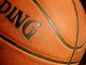 Ritornano i camp estivi per bambini e ragazzi organizzati da Pallacanestro Biella