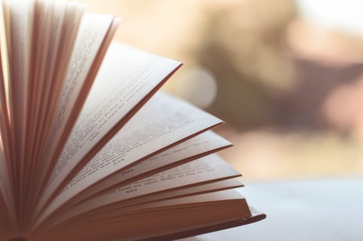 Mongrando, chiude la biblioteca per lavori di sistemazione e rinnovamento degli spazi (foto di repertorio) Mongrando, chiude la biblioteca per lavori di sistemazione e rinnovamento degli spazi (foto di repertorio)
