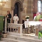 pettina vigliano pettina vigliano