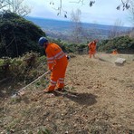 Sicurezza e manutenzione, l’AIB Biella Orso impegnata al Parco della Burcina - Foto dalla pagina Facebook Squadra Aib e Pc di Biella "Biella Orso"
