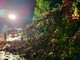 Biella: Grossa pianta crolla sulla strada dell'ex ospedale