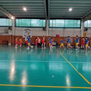 pallamano vigliano