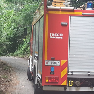 Maltempo, pianta sulla strada: arrivano i Vigili del Fuoco in Valle Elvo (foto di repertorio)
