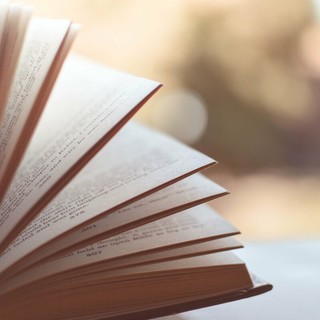 Graglia, si ritorna in biblioteca con letture a sorpresa e tante novità (foto di repertorio)